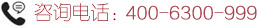 ѯ绰400-6300-999